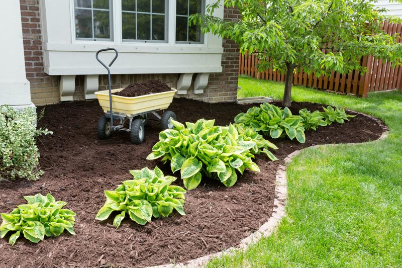 flowerbed