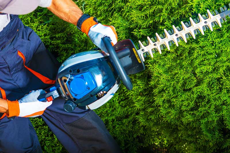 Lawn Trimming Services