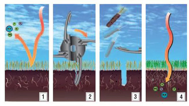 The Benefits of A Properly Aerated Lawn