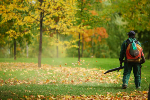 The Importance Of Leaf Cleanup