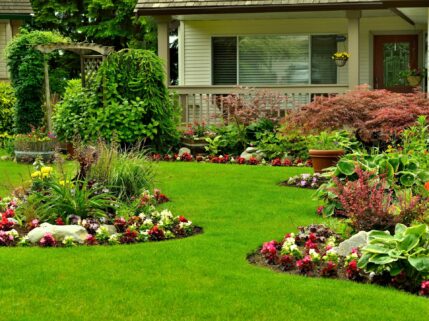 Benefits of Annual Ryegrass for Your Texas Lawn