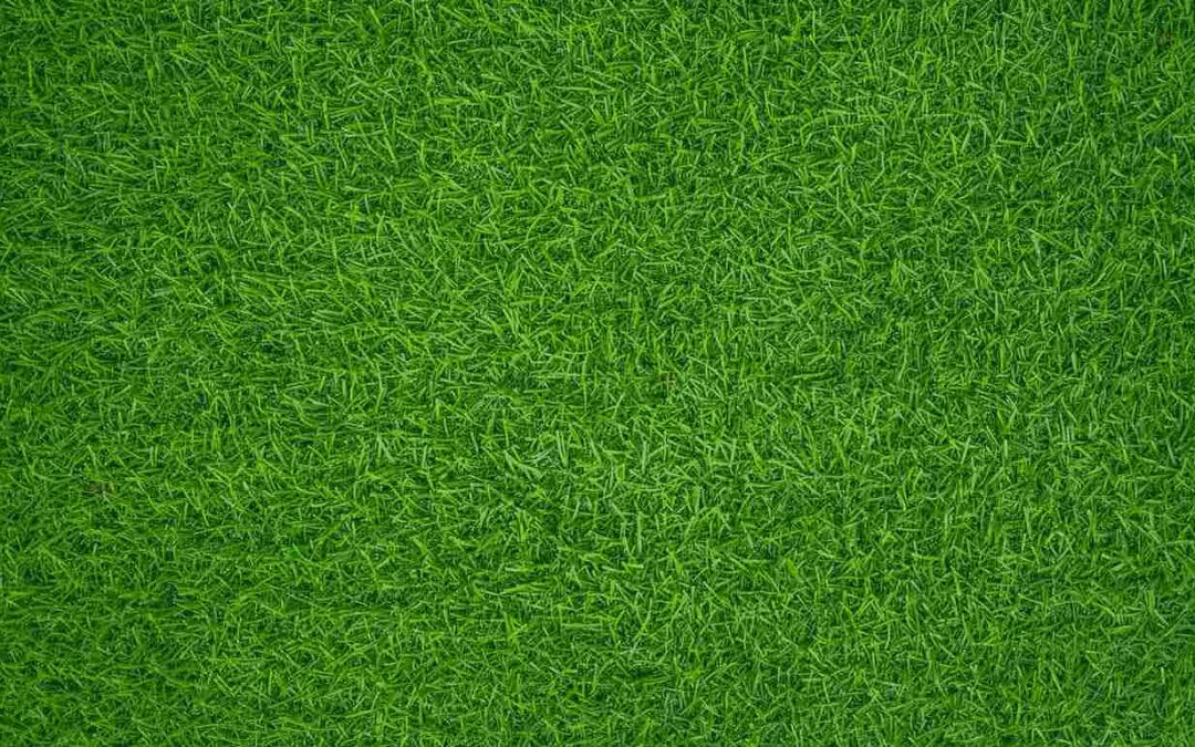 Greening Up Your Yard