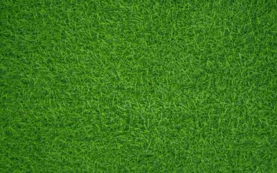 Greening Up Your Yard