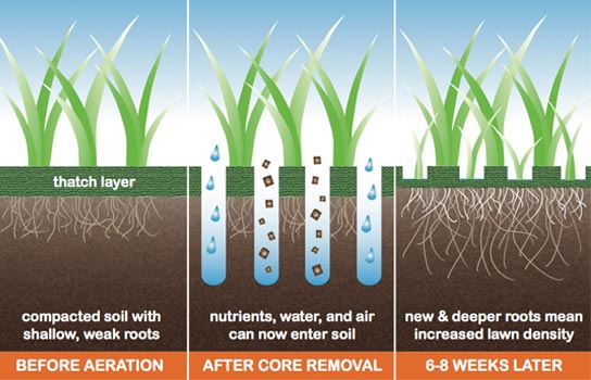 core-aeration core-aeration