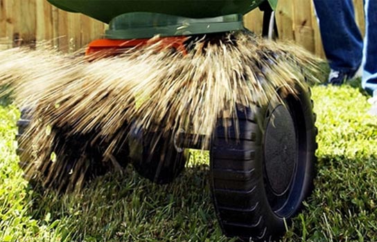 overseed overseed