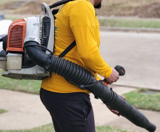 blower blower