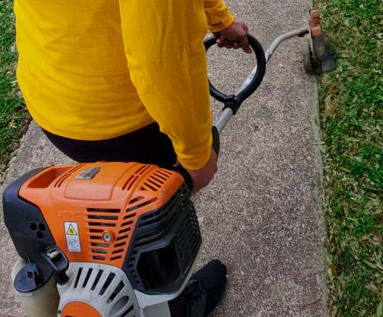 edging core-aeration