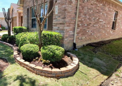 Borders - Lawn Expert - DFW Texas