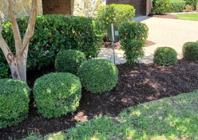Landscaping / Borders / Tree Planting - Lawn Expert - DFW Texas
