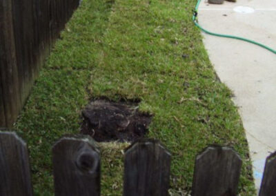 Sod Installation - Lawn Expert - DFW Texas
