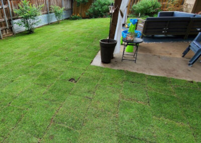 Sod Installation - Lawn Expert - DFW Texas