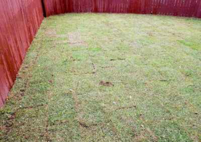 Sod Installation - Lawn Expert - DFW Texas