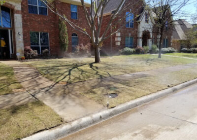 Sod Installation - Lawn Expert - DFW Texas