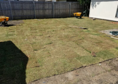 Sod Installation - Lawn Expert - DFW Texas