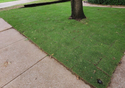 Sod Installation - Lawn Expert - DFW Texas